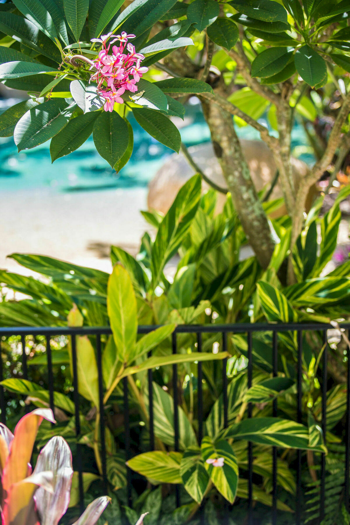 Melaleuca Resort Палм-Коув Экстерьер фото