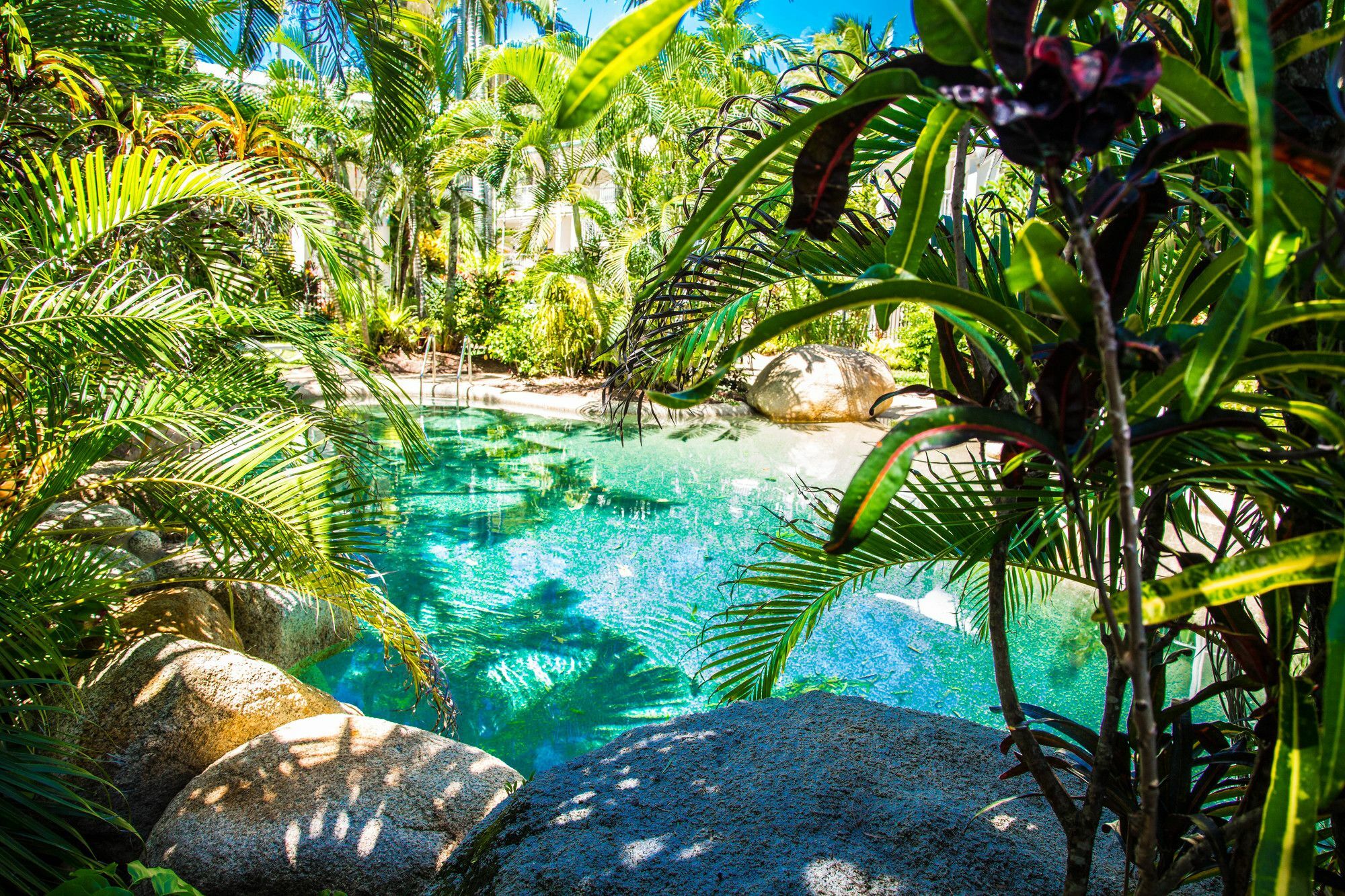 Melaleuca Resort Палм-Коув Экстерьер фото